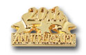 Pin-20Th Anniversary